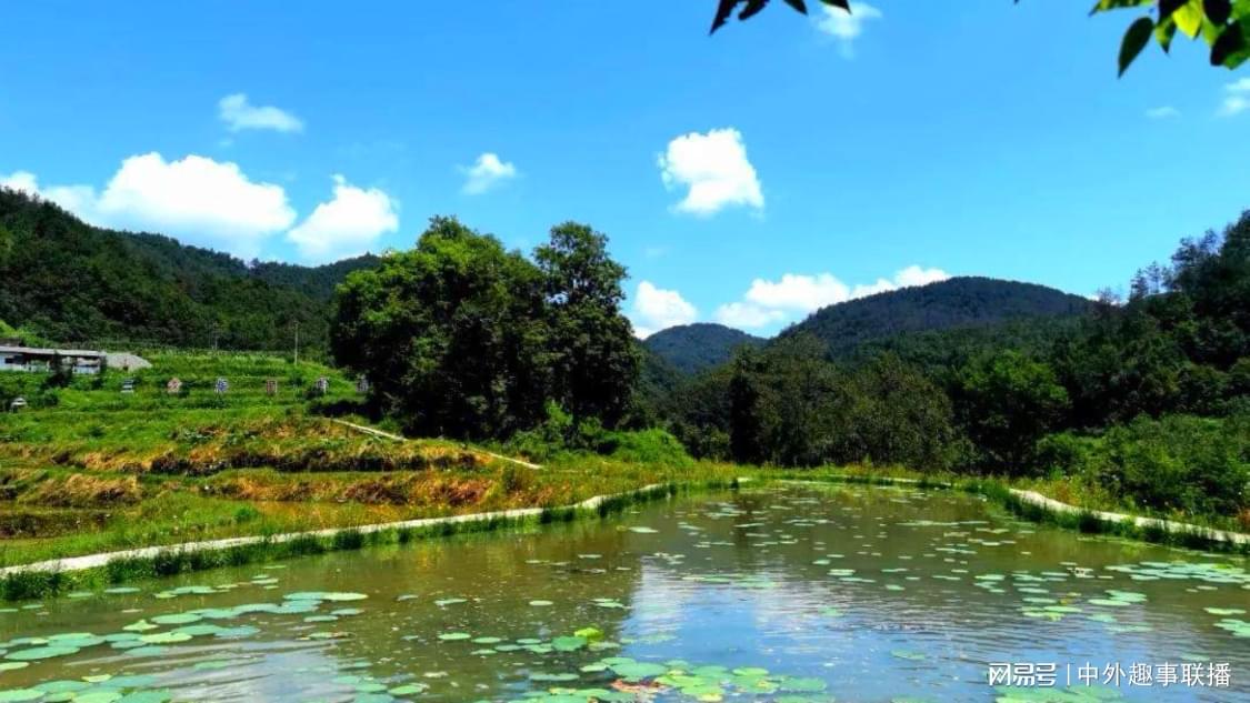 快手一毛1000赞平台