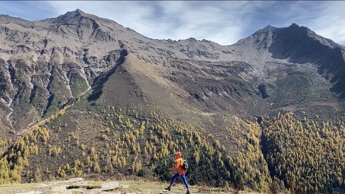 抖音自定义评论自助下单平台网站